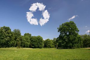 مبادرات أنجي في مجال الزراعة وإعادة التشجير