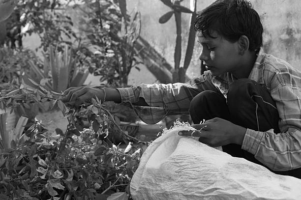 التعليم كوسيلة لحماية الأطفال من عمالة الأطفال